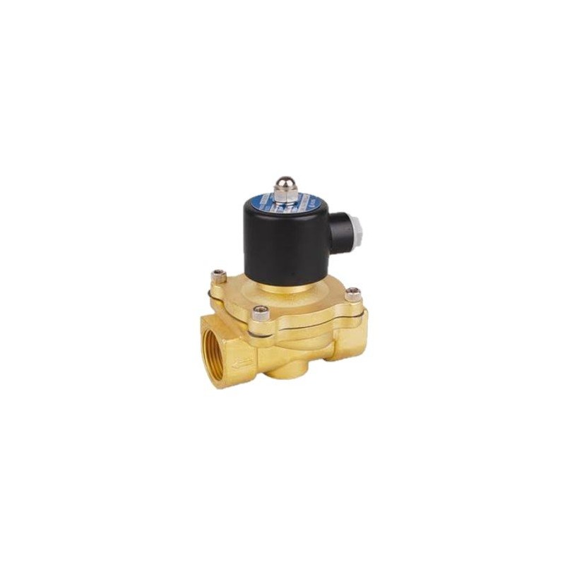 2W250-25-1-120 Válvula Solenoide Watson
