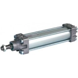 RA/8032/W2/25 Cilindro IMI