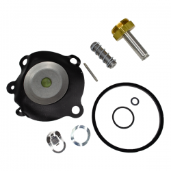 24F24C2180AAFR Kit de Reparación Gold Ring OL