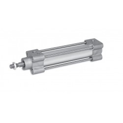 P1F-T050MC-0225-0000 cilindro Parker