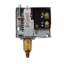 P170AA-118C Switch Presión JCI